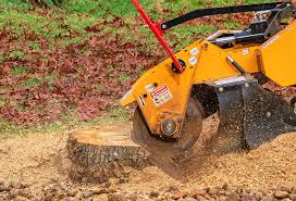 How Our Tree Care Process Works  in  Wernersville, PA